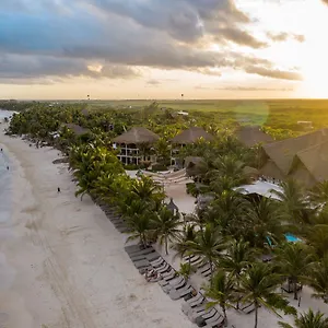 Los Lirios Tulum